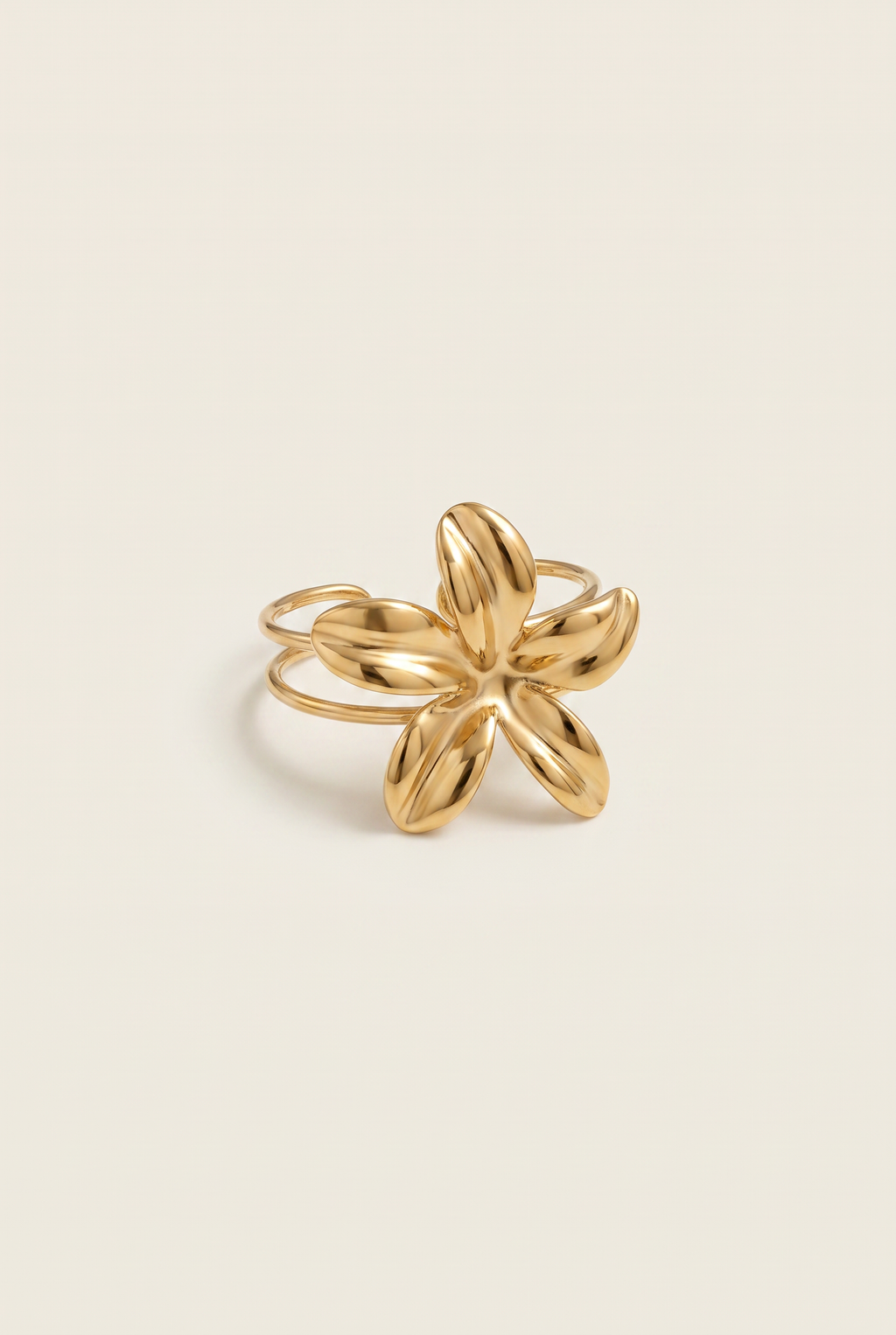 Anillo Alaya
