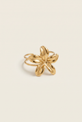 Anillo Alaya