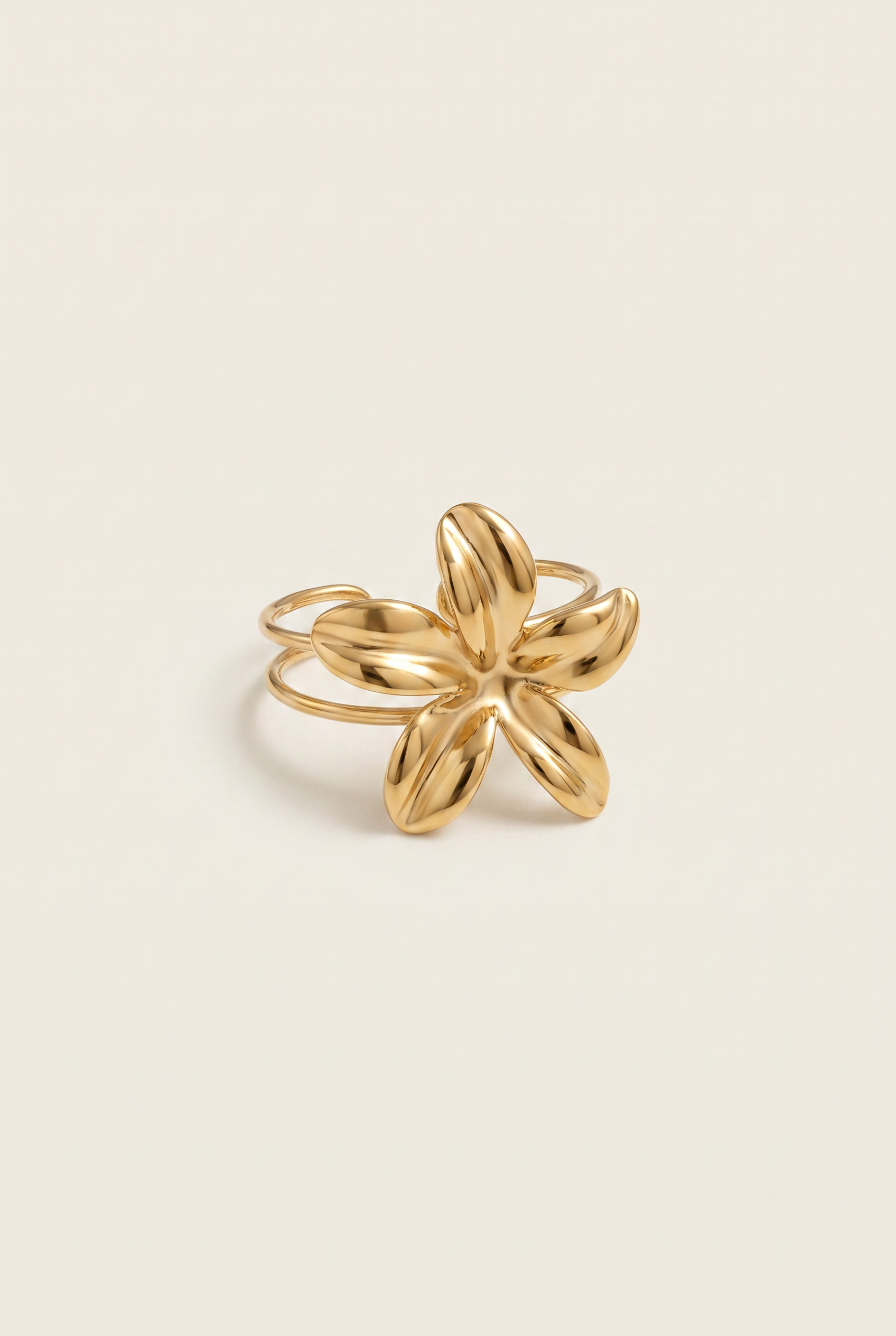 Anillo Alaya