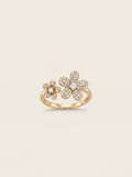 Anillo Cassia