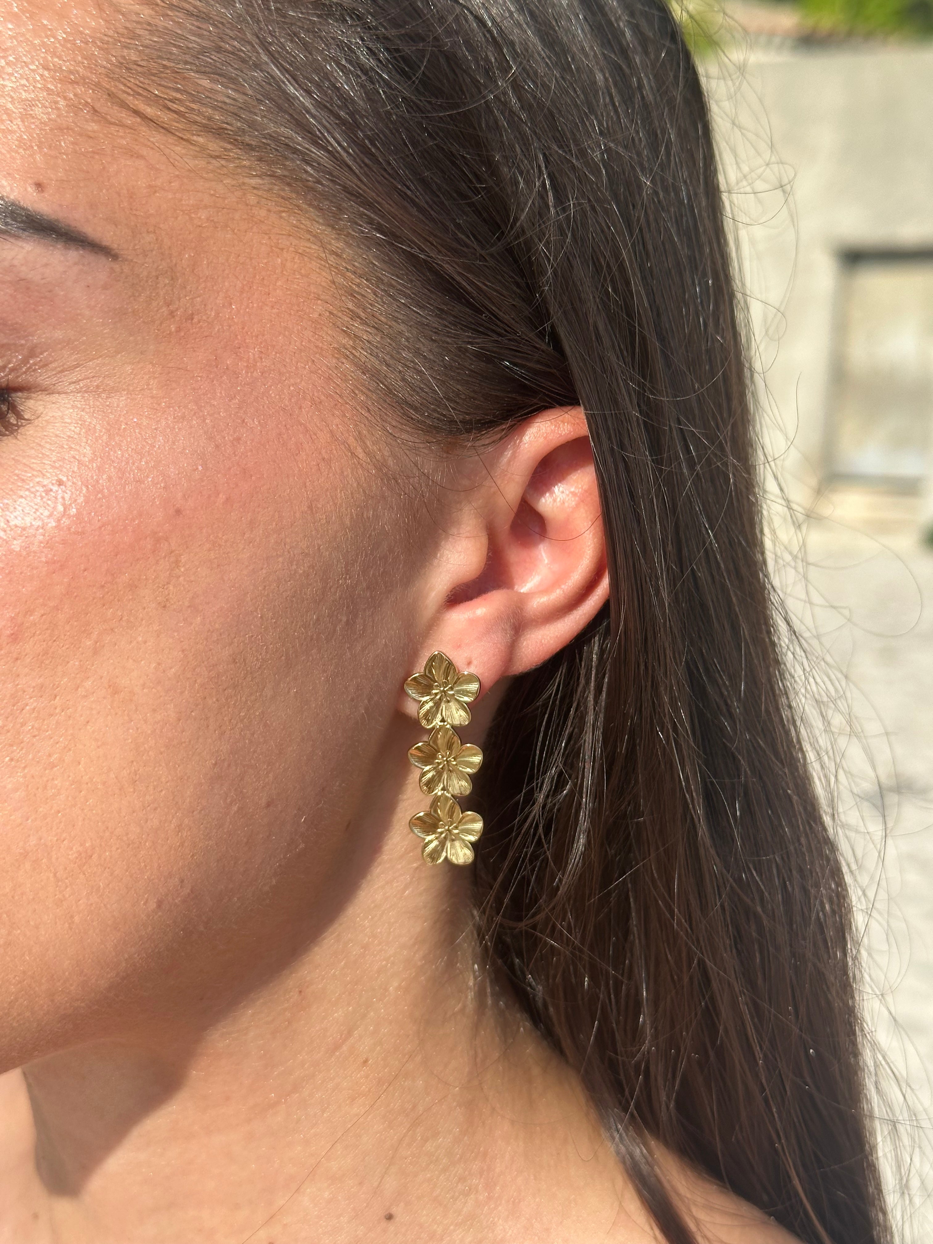 Pendientes Alma