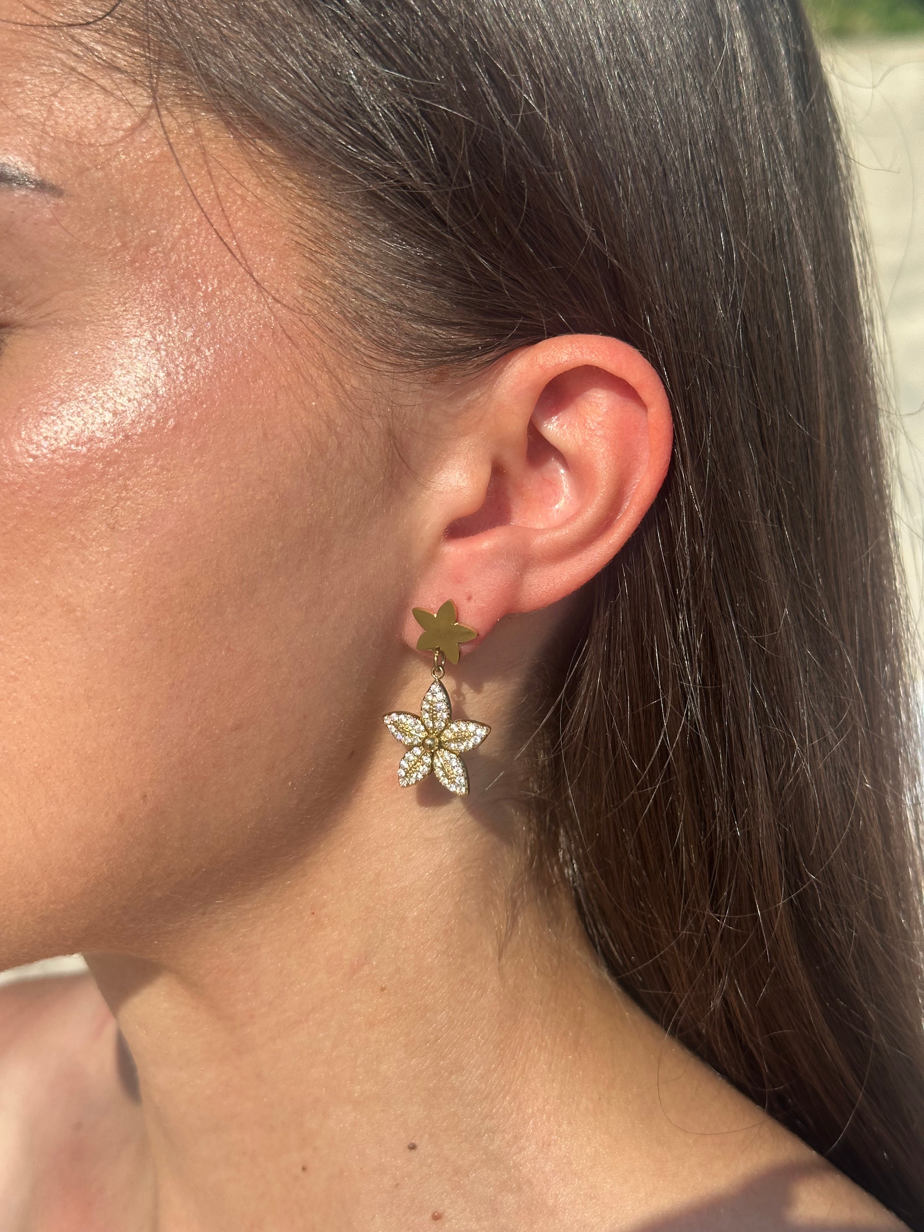 Pendientes Ambre