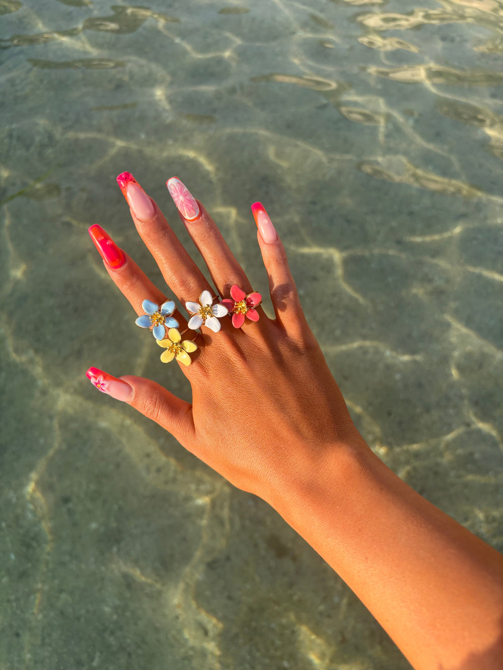 Anillo Rosélia